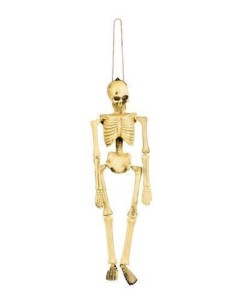 scheletro (40 cm) - di alta qualità, ideale per carnevale, feste a tema ed eventi speciali